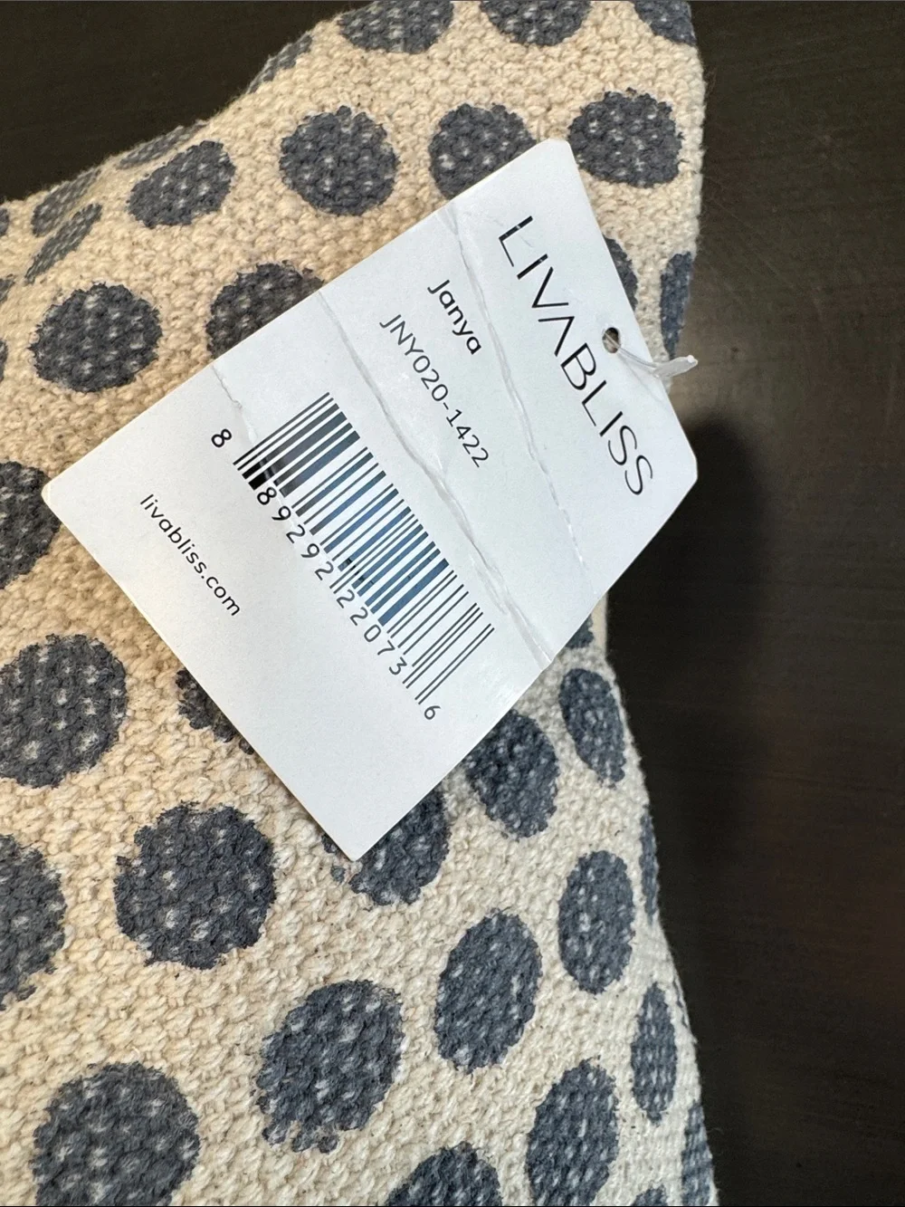 NWT Janya Polka Dot Decorative Pillow - Navy and Cream